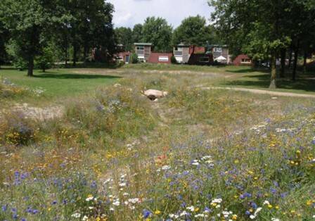 Stad Land Water Klimaat Kruidenmengsel wadi