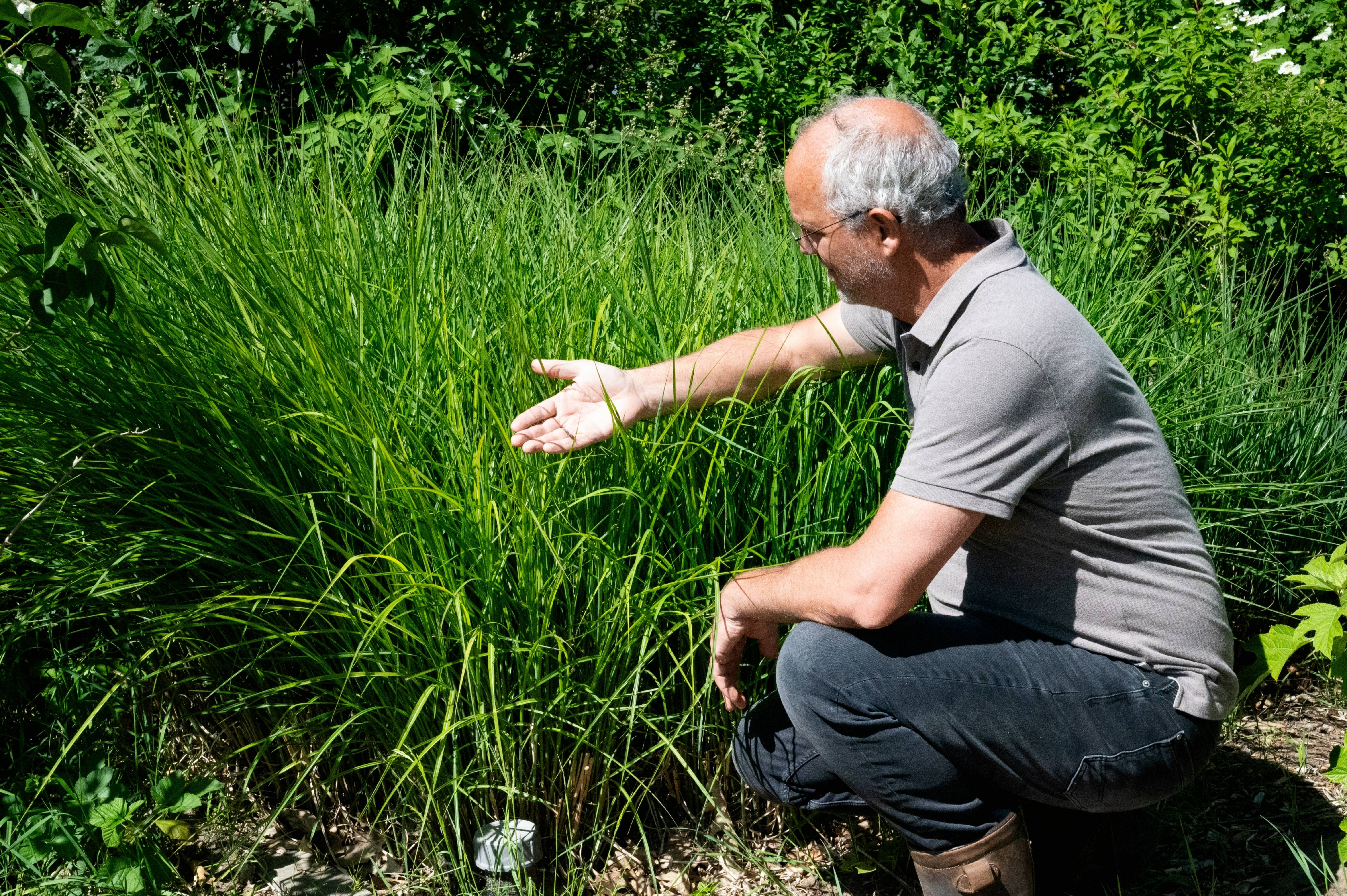 Stad Land Water Klimaat Riet