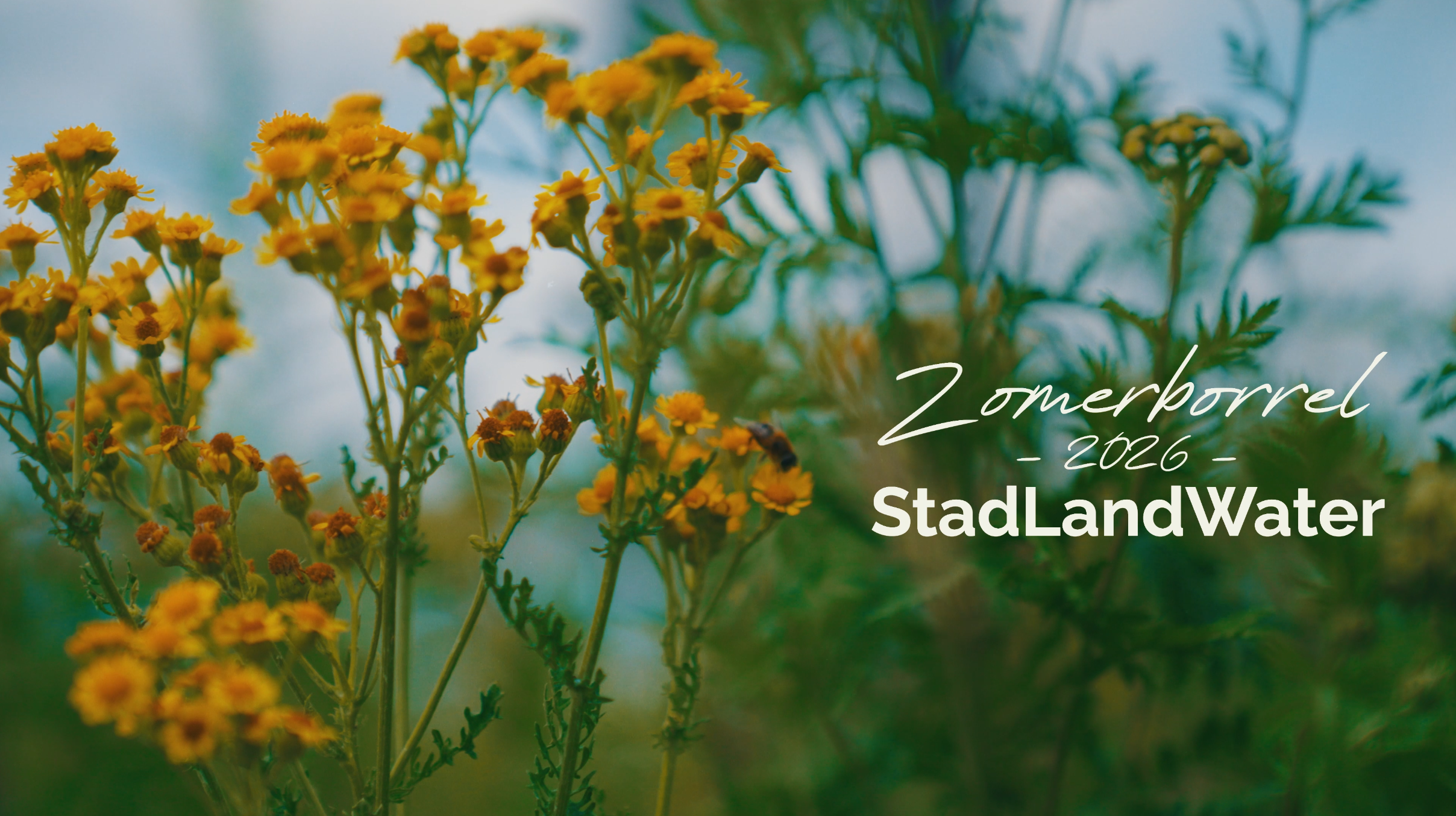 Zomerborrel 2026 Stad Land Water