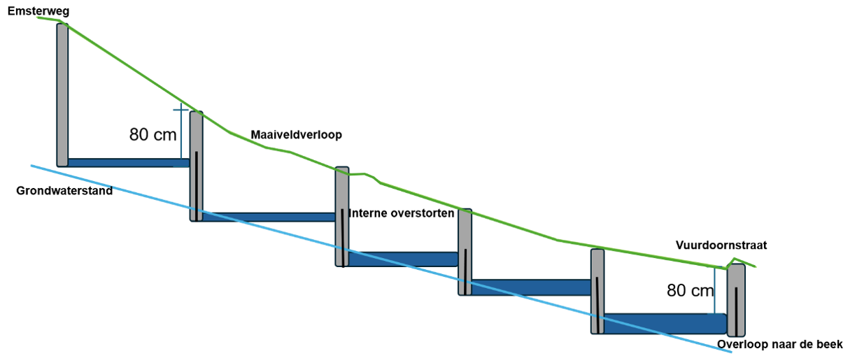 Artikel Stad Land Water Afkoppelplan gemeente Epe