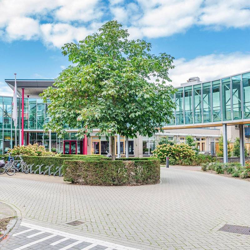 Gemengd rioolstelsel