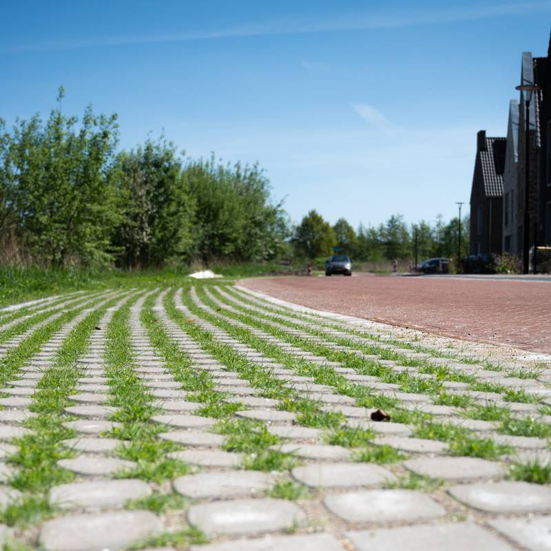 Harderweide groenparkeren