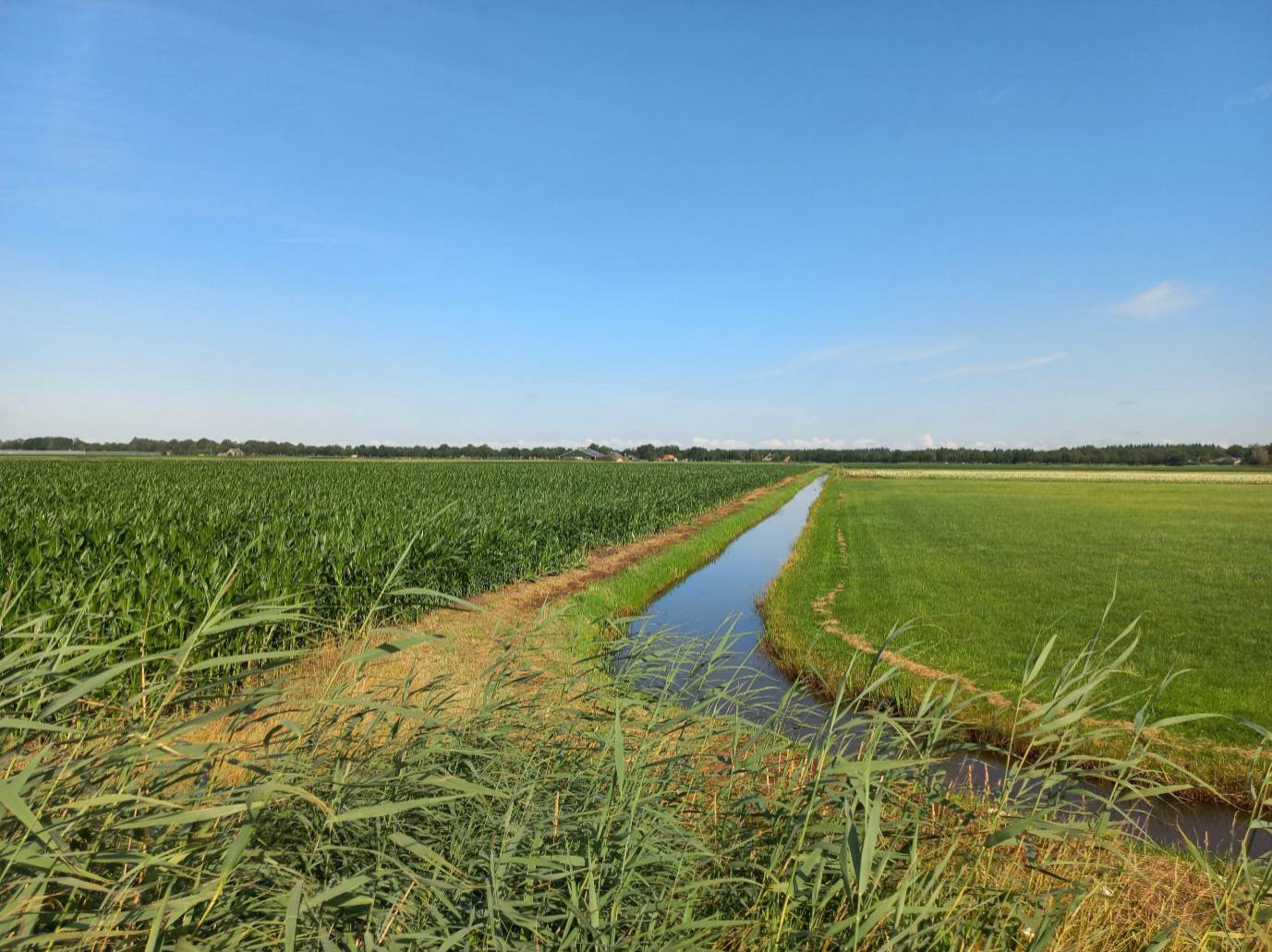 Stikstofregeling groen