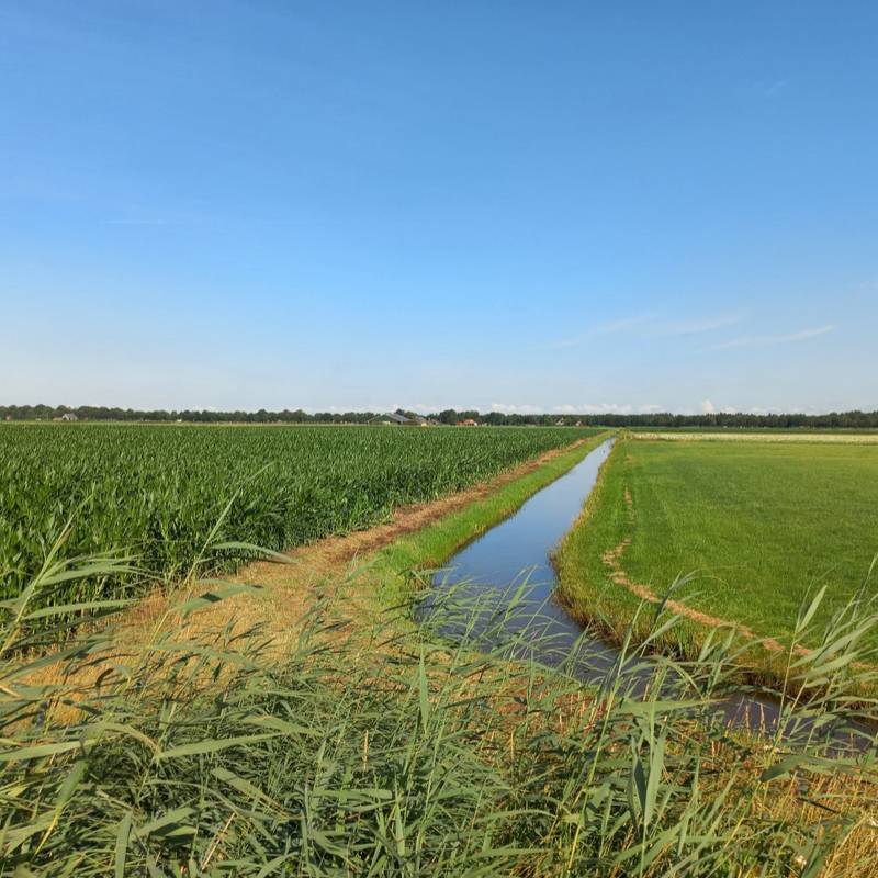 Stikstofregeling groen